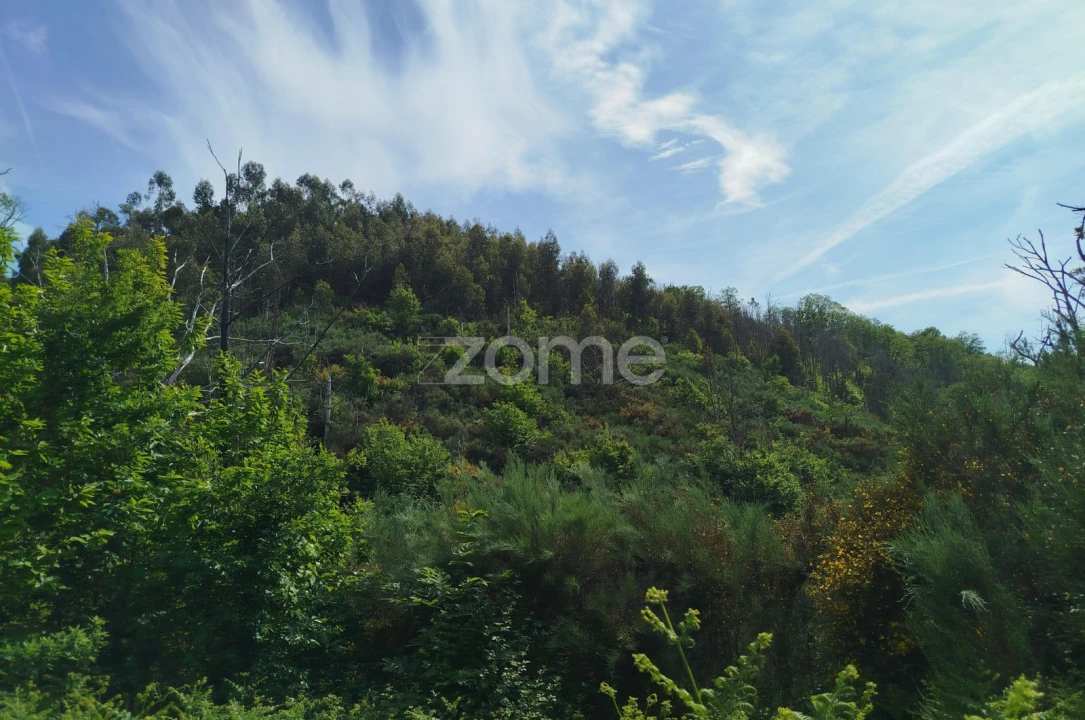 Terreno para Venda em Seia, São Romão e Lapa dos Dinheiros Foto 2