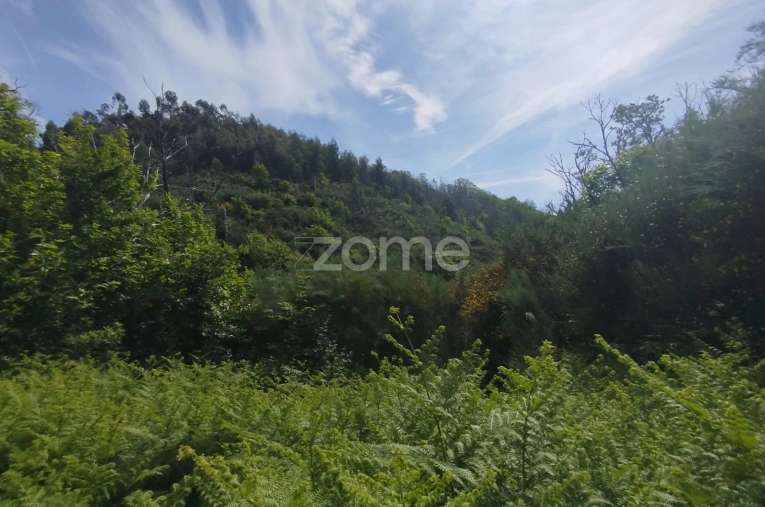 Terreno para Venda em Seia, São Romão e Lapa dos Dinheiros Foto 23