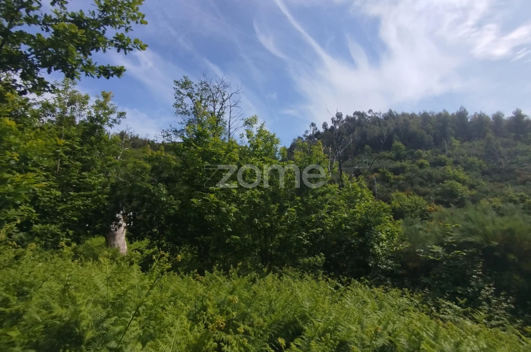 Terreno para Venda em Seia, São Romão e Lapa dos Dinheiros Foto 26