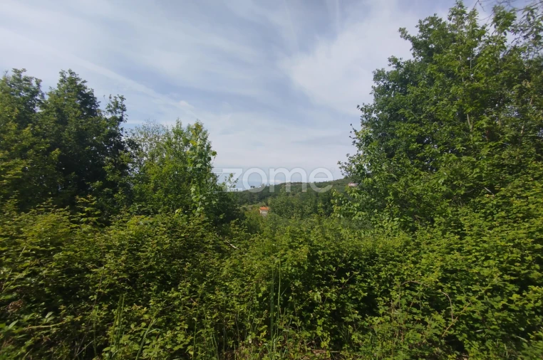 Terreno para Venda em Seia, São Romão e Lapa dos Dinheiros