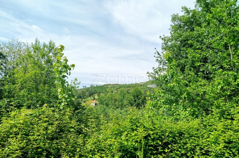 Terreno para Venda em Seia, São Romão e Lapa dos Dinheiros Foto 6