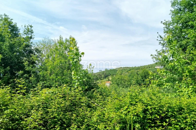 Terreno para Venda em Seia, São Romão e Lapa dos Dinheiros Foto 4