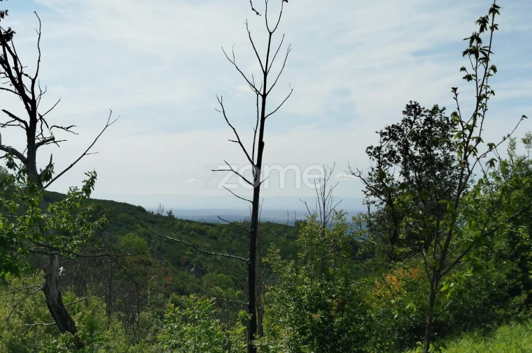 Terreno para Venda em Seia, São Romão e Lapa dos Dinheiros Foto 13