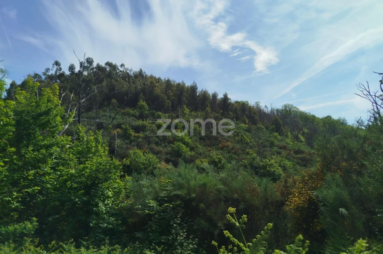 Terreno para Venda em Seia, São Romão e Lapa dos Dinheiros Foto 2