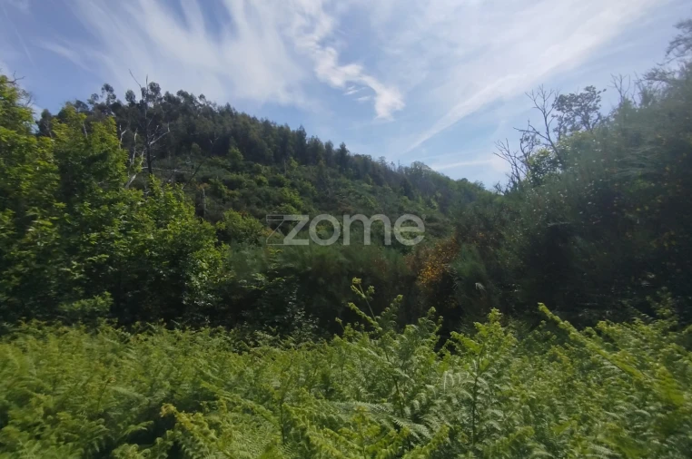 Terreno para Venda em Seia, São Romão e Lapa dos Dinheiros Foto 23
