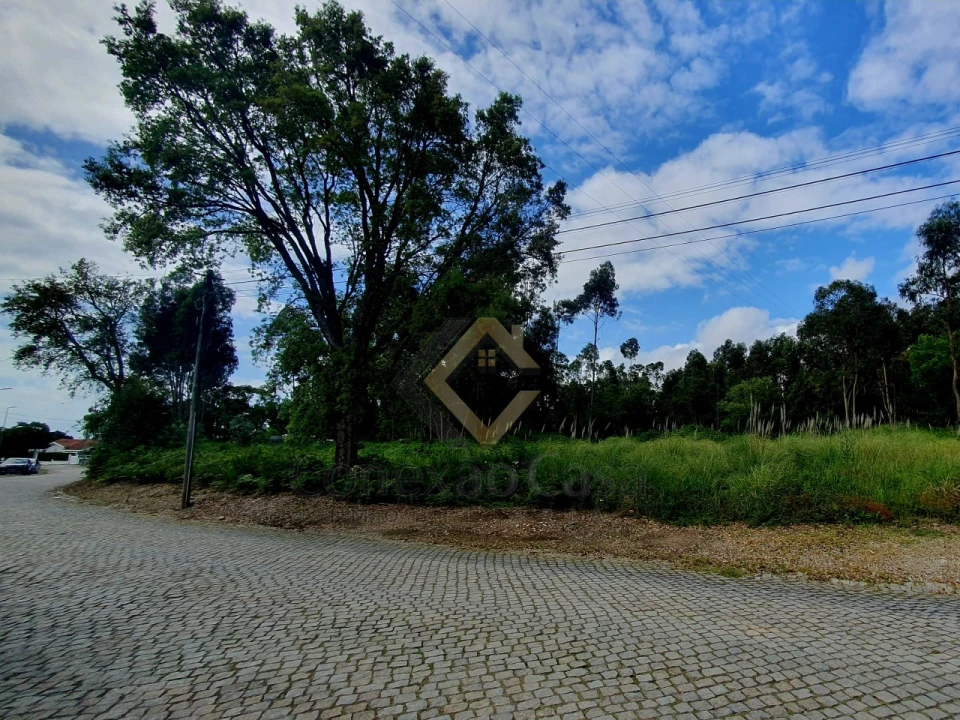 Terreno para Venda em Arcozelo Foto 7
