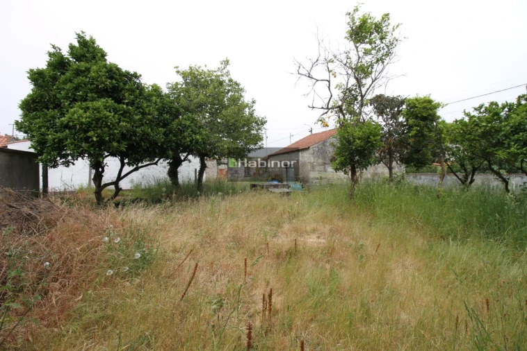 Moradia T5 para Venda em Vila Nova de Anha Foto 18