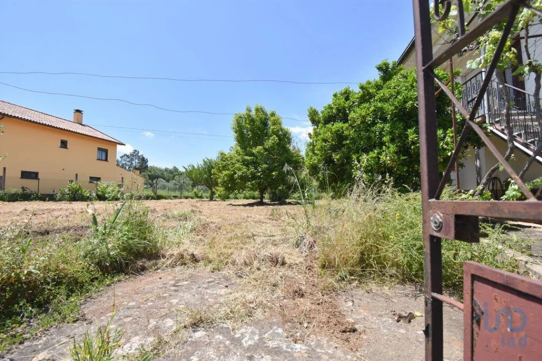 Moradia T3 para Venda em São Miguel, Santa Eufémia e Rabaçal Foto 4