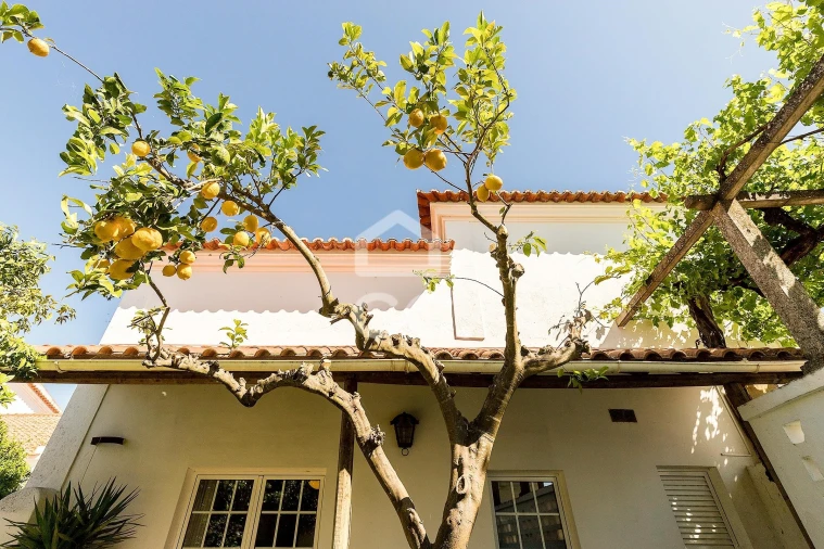 Moradia T3 para Venda em Portel Foto 38