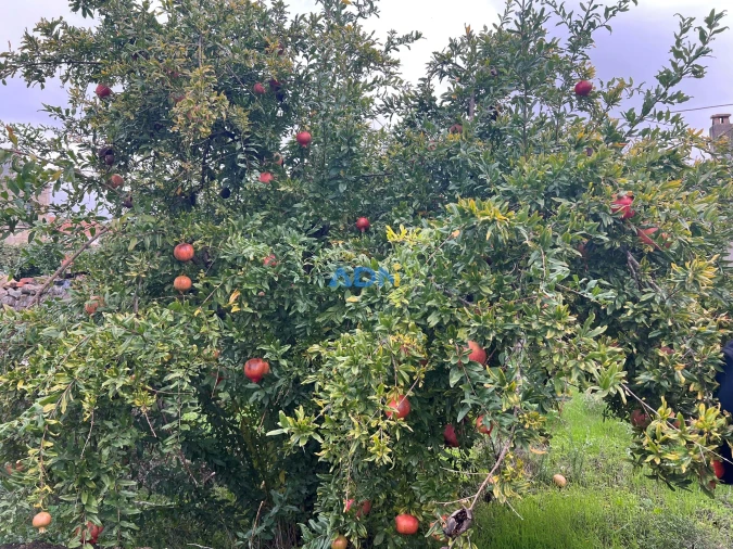 Moradia para Venda em Póvoa de Rio de Moinhos e Cafede Foto 5