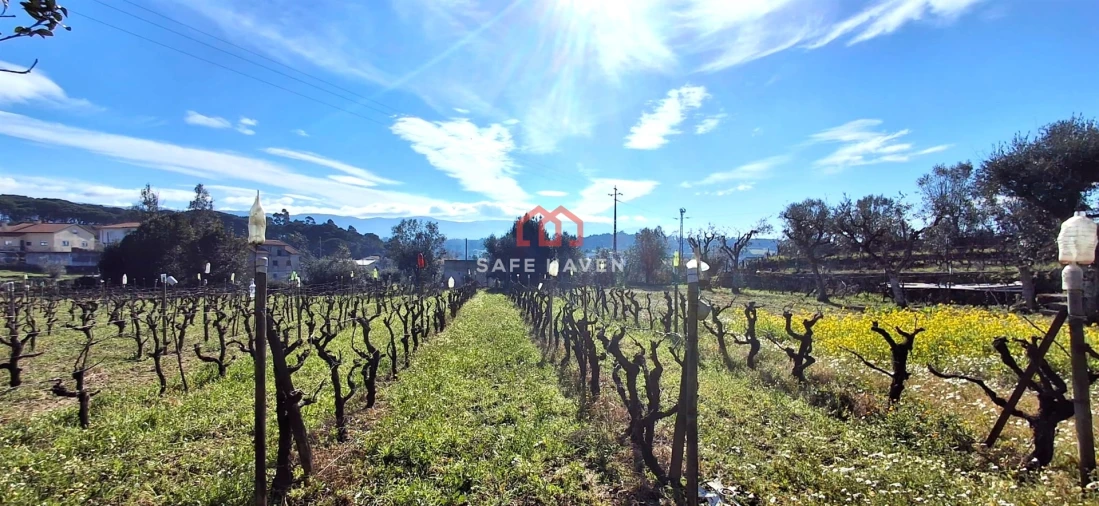Moradia T0 para Venda em Vila Nova de Tazem Foto 23
