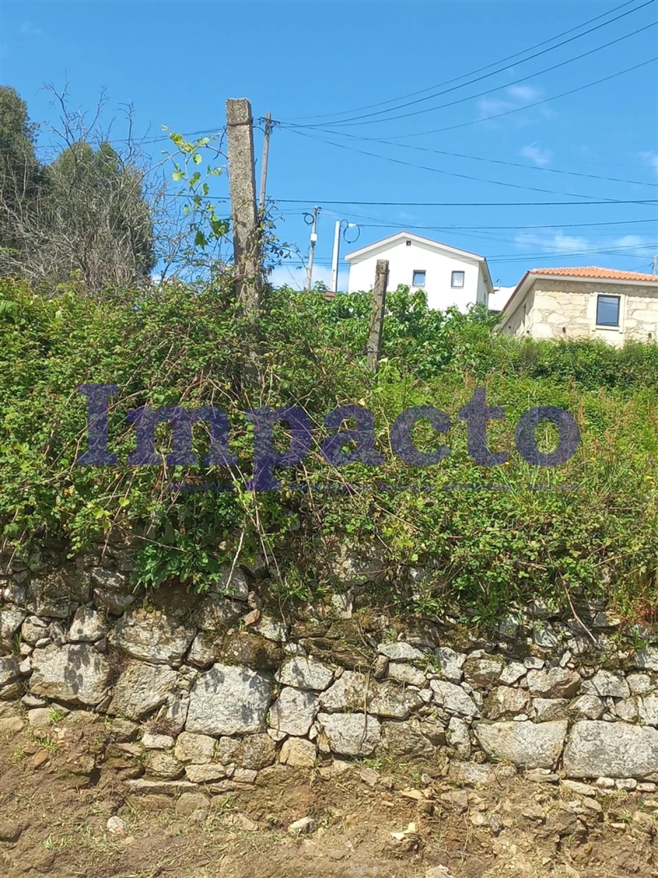 Terreno para Venda em Escariz Foto 11