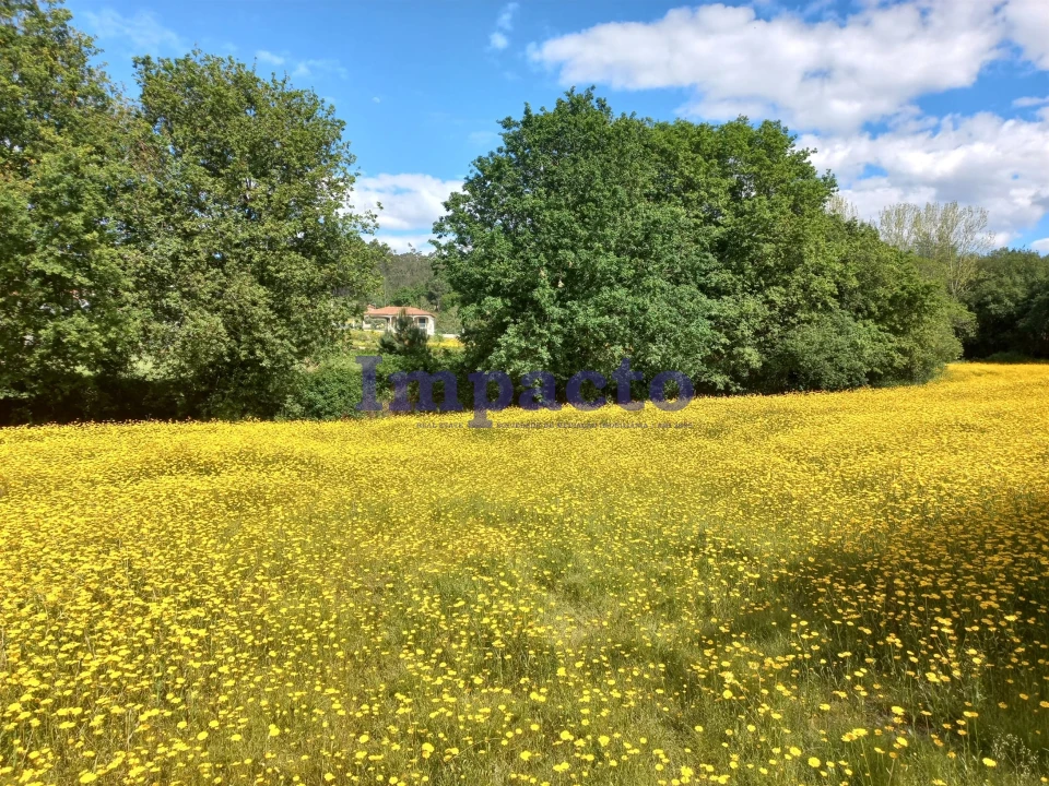 Terreno para Venda em Escariz Foto 1