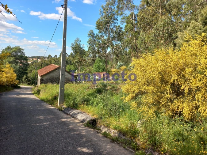 Terreno para Venda em Escariz Foto 2