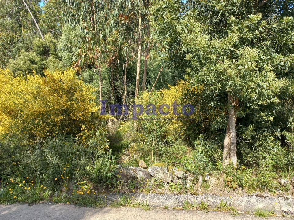 Terreno para Venda em Escariz Foto 3