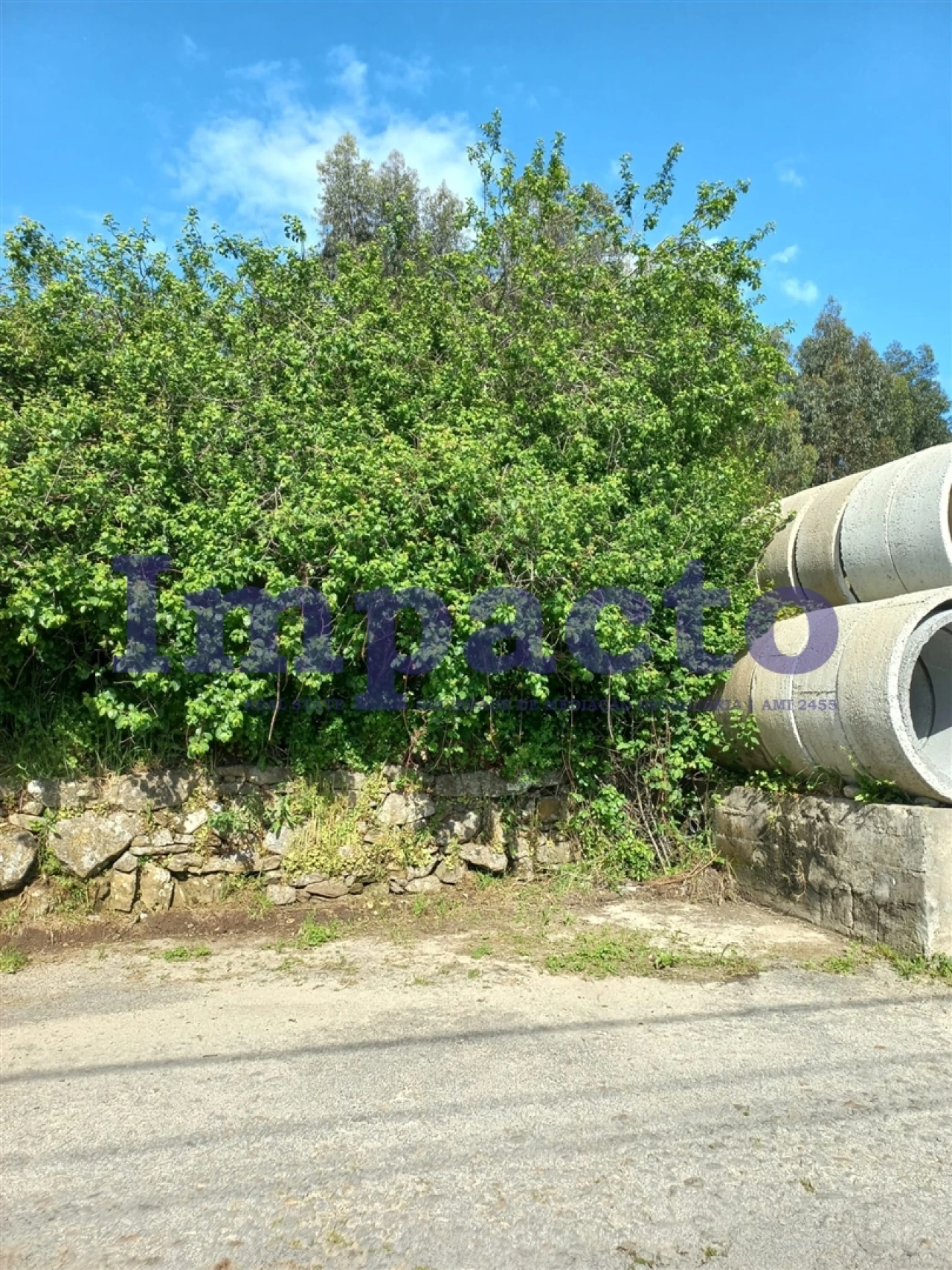 Terreno para Venda em Escariz Foto 10