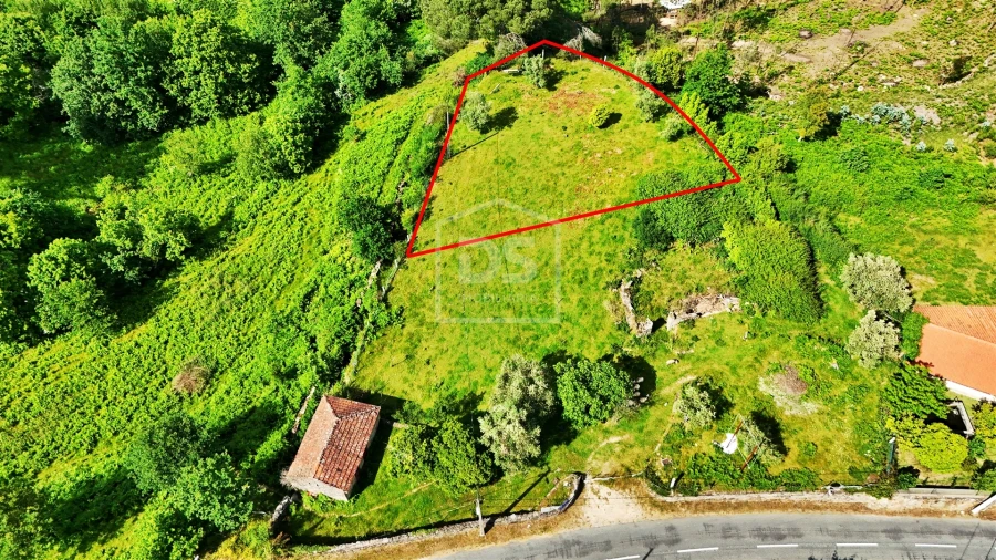 Terreno para Venda em Penhalonga e Paços de Gaiolo Foto 2