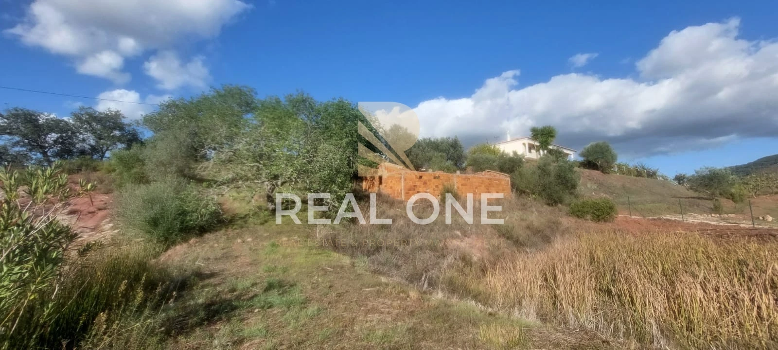 Terreno para Venda em Alte Foto 35