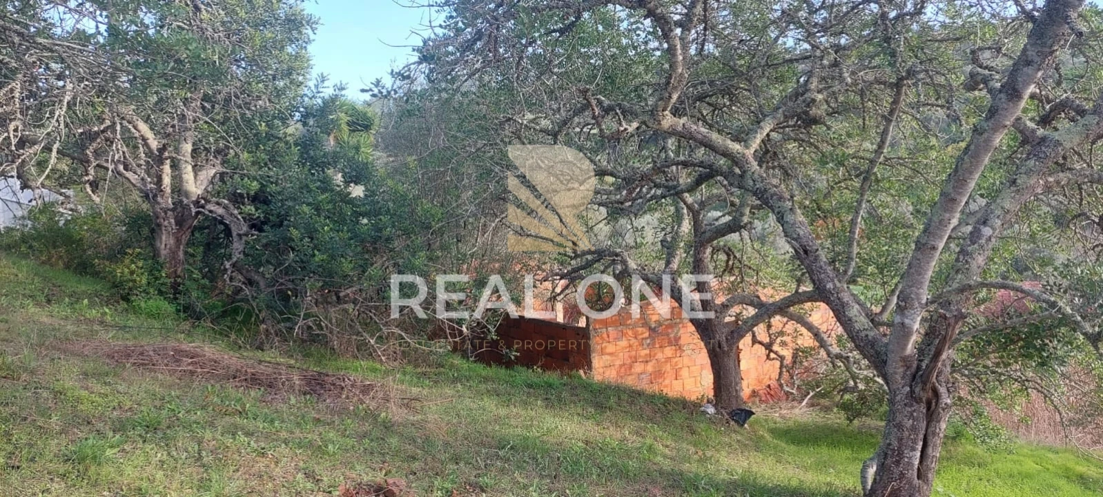 Terreno para Venda em Alte Foto 9