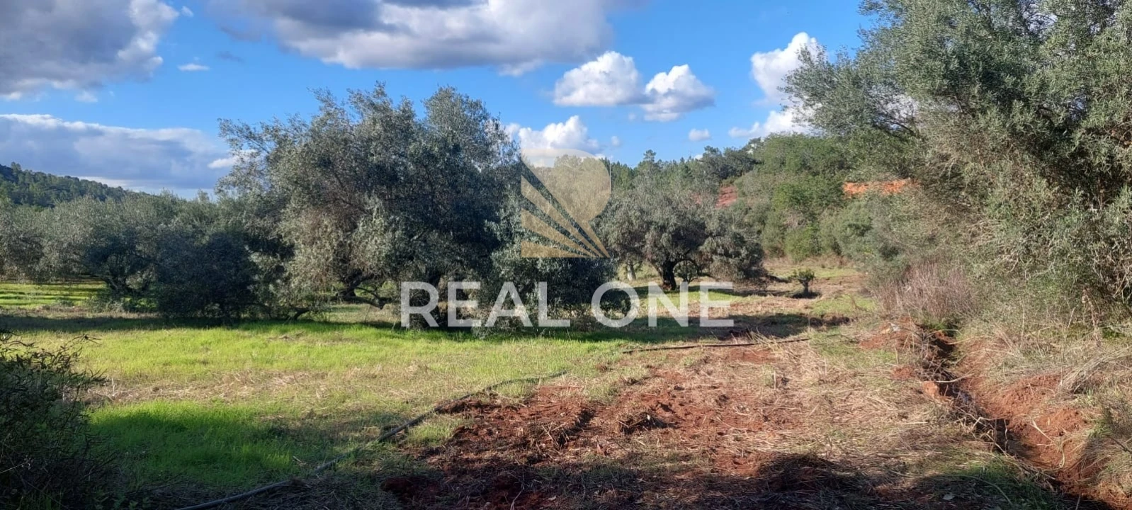 Terreno para Venda em Alte Foto 25