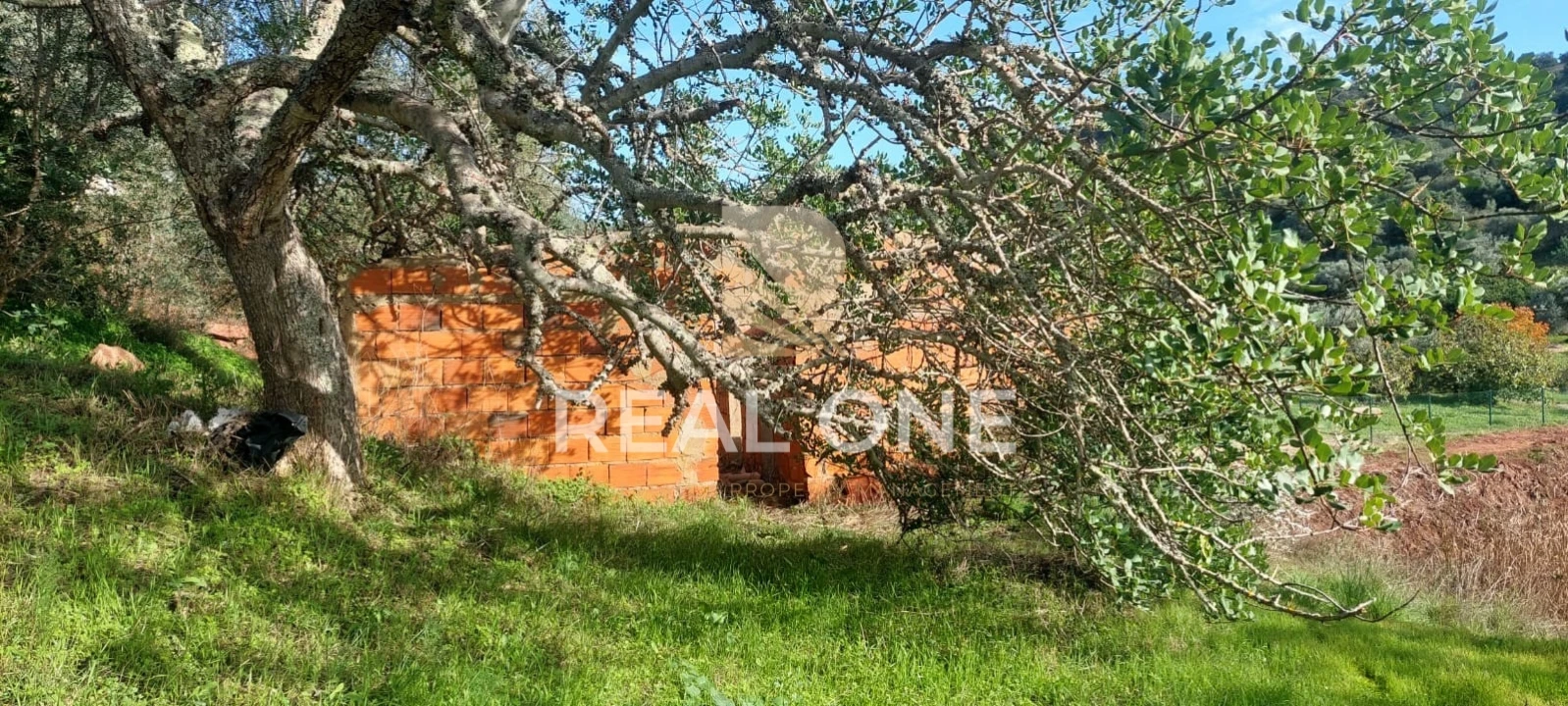 Terreno para Venda em Alte Foto 8