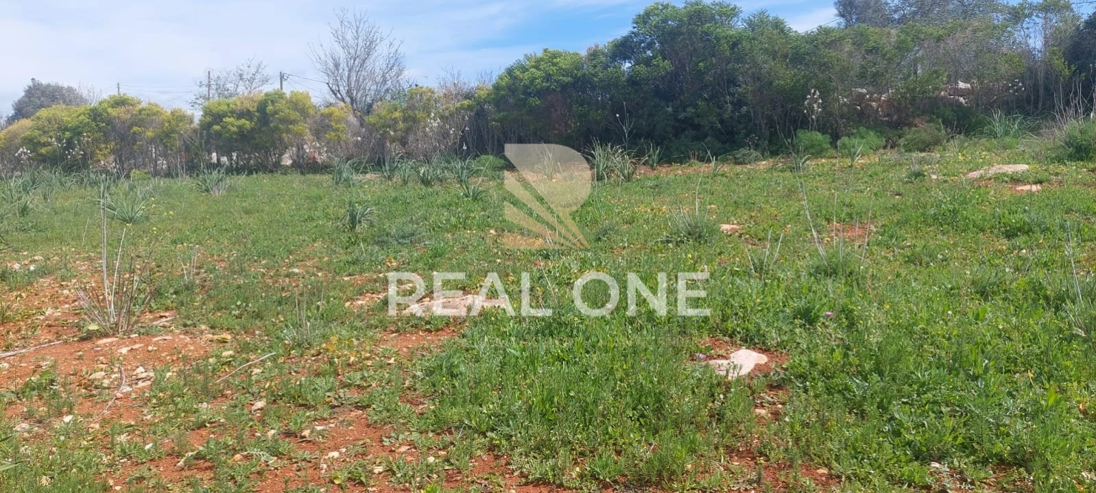Terreno para Venda em Alte Foto 3