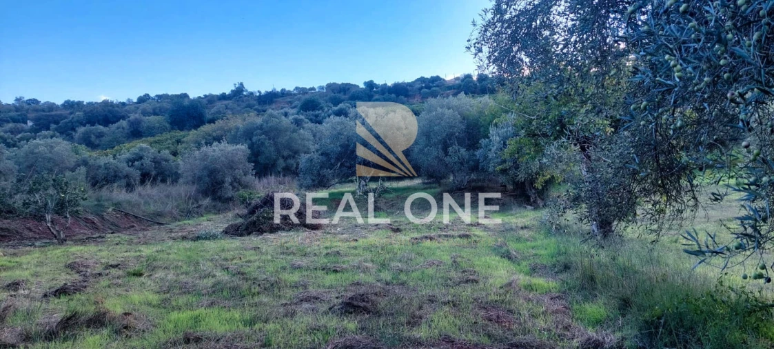 Terreno para Venda em Alte Foto 28