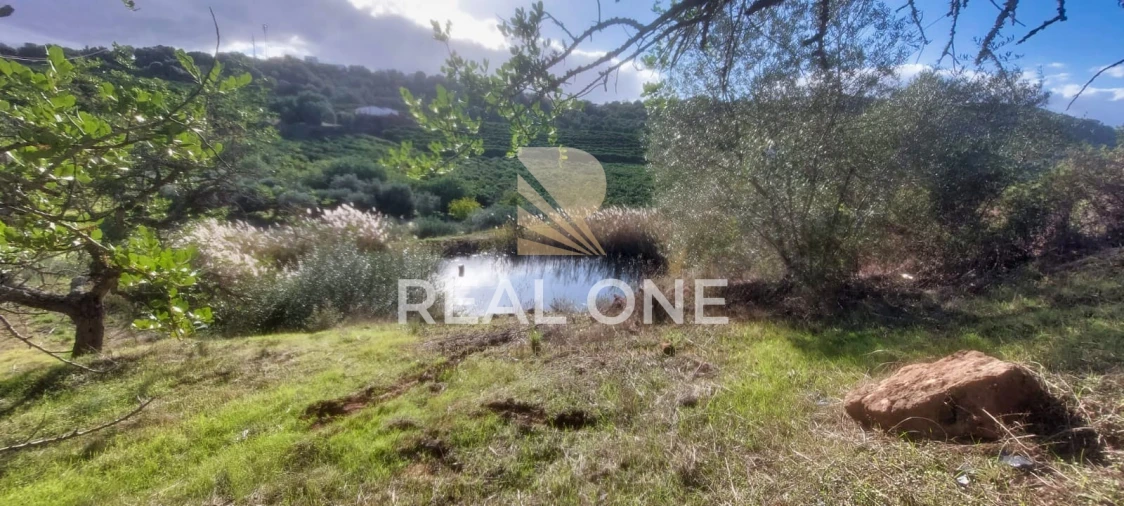 Terreno para Venda em Alte Foto 33