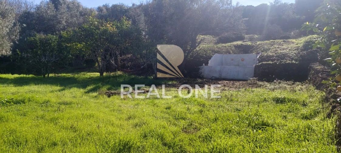 Terreno para Venda em Alte Foto 10