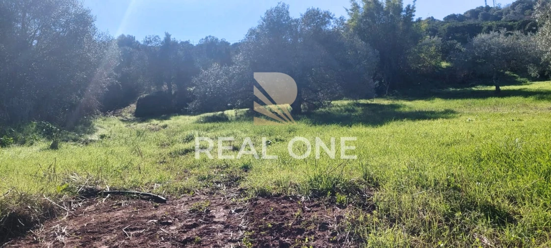 Terreno para Venda em Alte Foto 23