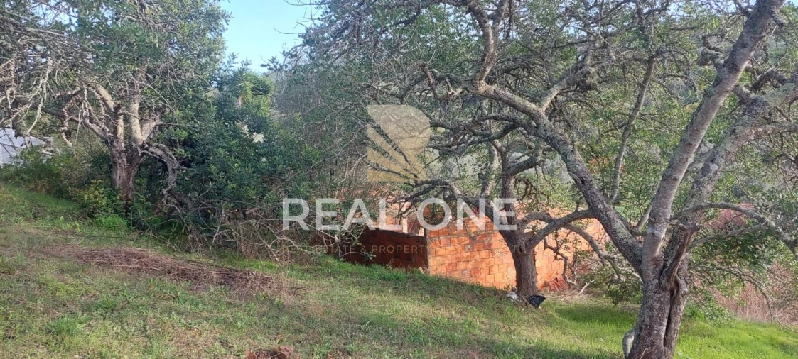 Terreno para Venda em Alte Foto 9