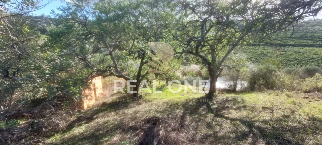 Terreno para Venda em Alte Foto 34