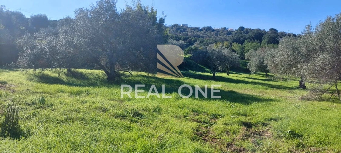 Terreno para Venda em Alte Foto 15