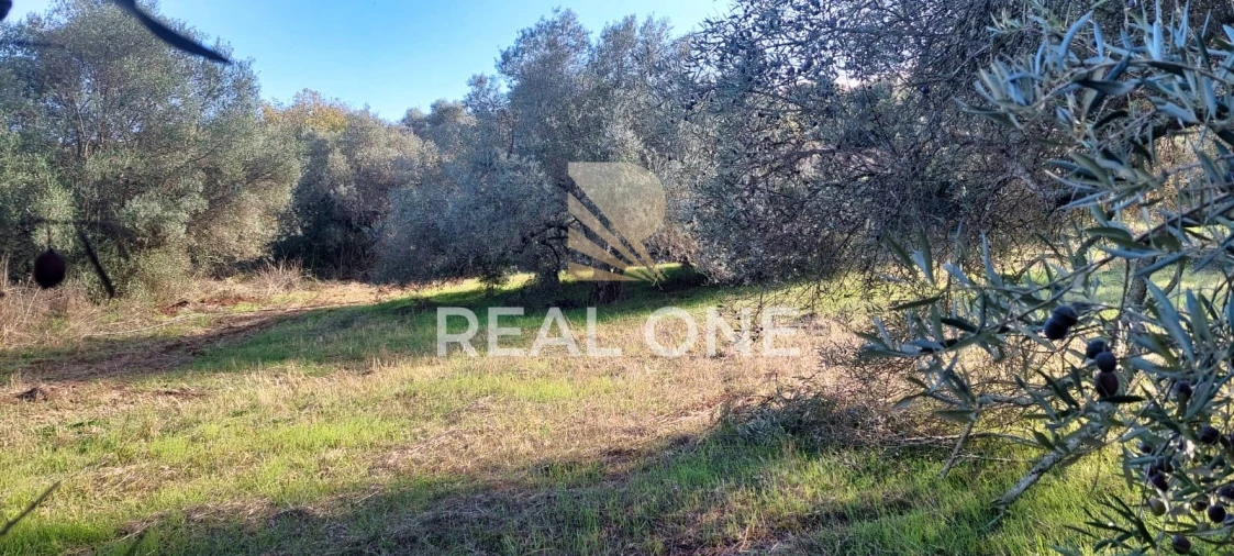 Terreno para Venda em Alte Foto 29