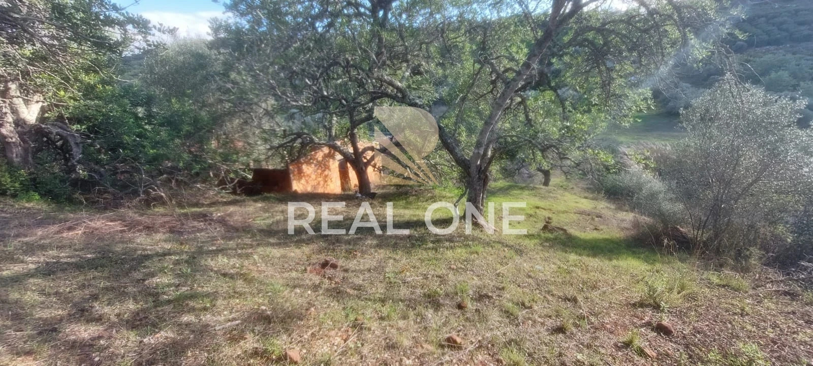 Terreno para Venda em Alte Foto 30