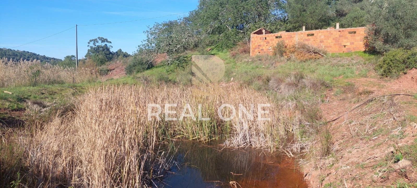 Terreno para Venda em Alte Foto 24
