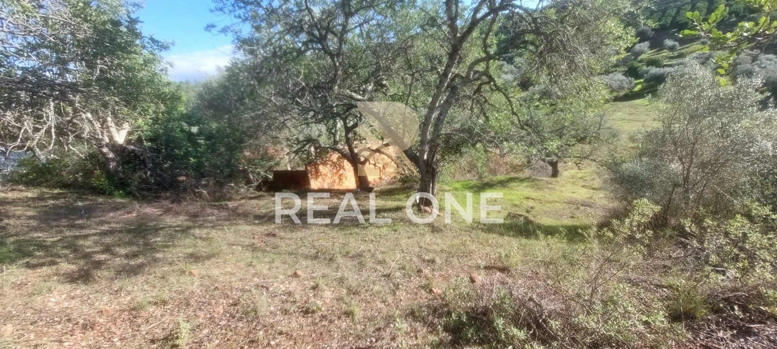 Terreno para Venda em Alte Foto 32