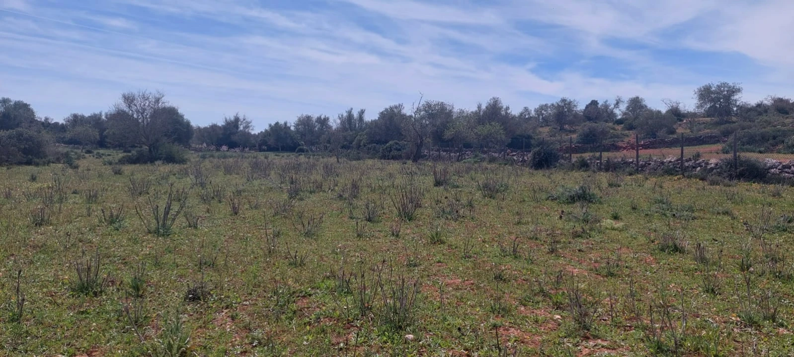 Terreno para Venda em Guia Foto 16