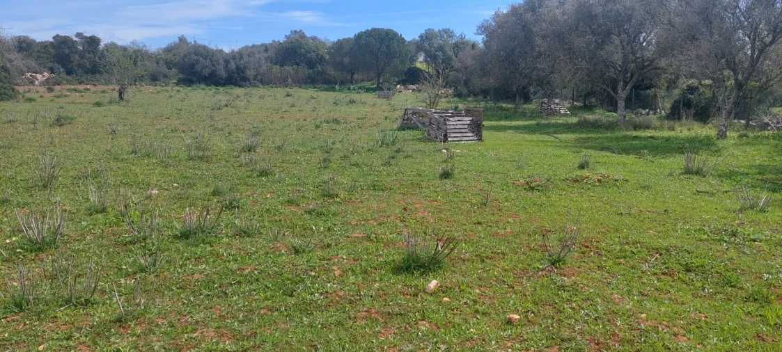 Terreno para Venda em Guia Foto 1