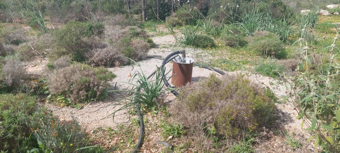 Terreno para Venda em Guia Foto 6