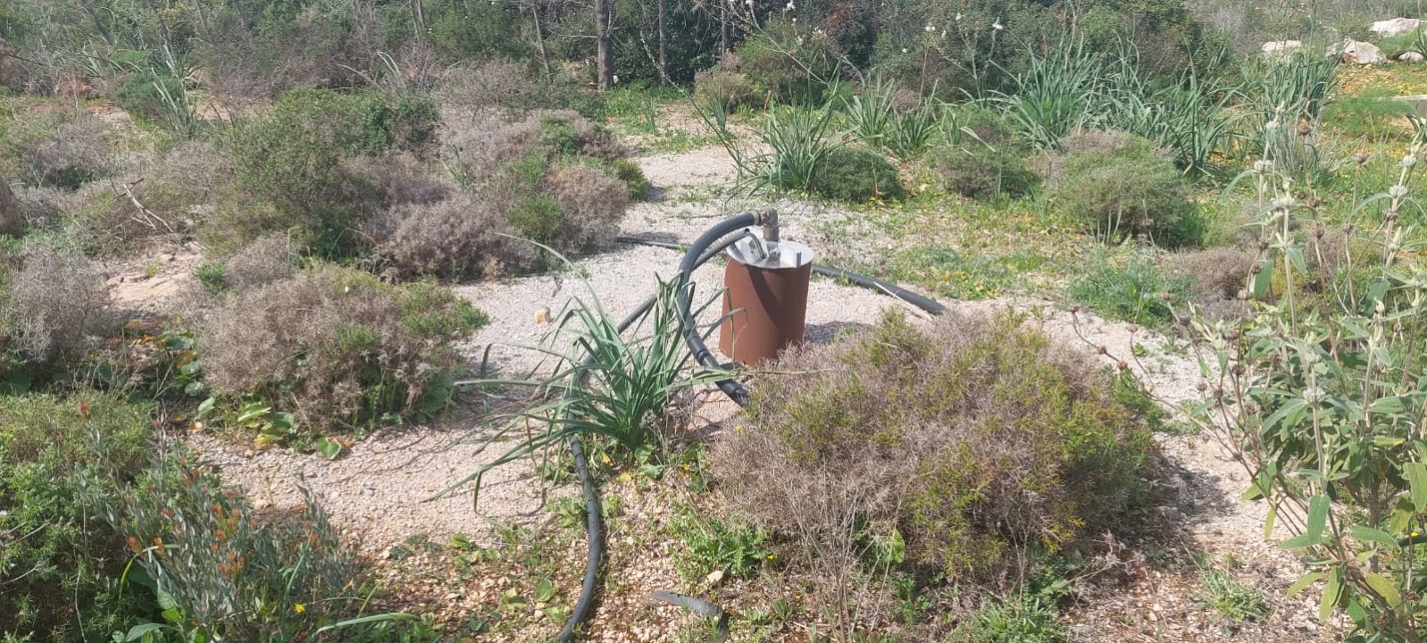Terreno para Venda em Guia Foto 6