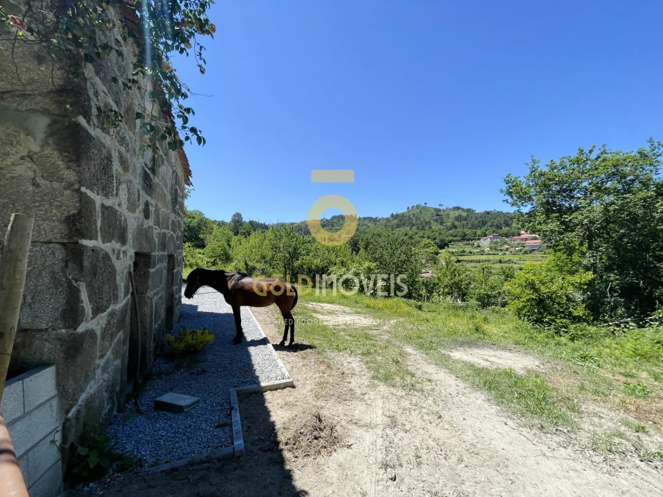 Terreno Agricola ou Rústico para Venda em Santiago de Piães Foto 23