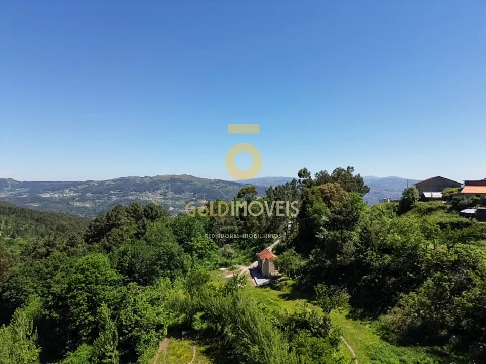 Terreno Agricola ou Rústico para Venda em Santiago de Piães Foto 29