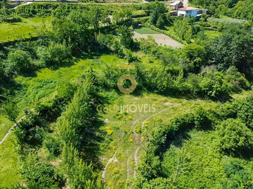Terreno Agricola ou Rústico para Venda em Santiago de Piães Foto 14
