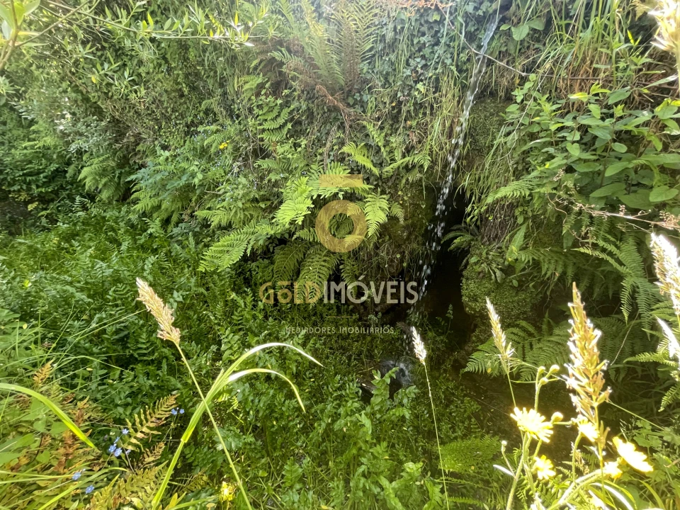 Terreno Agricola ou Rústico para Venda em Santiago de Piães Foto 18