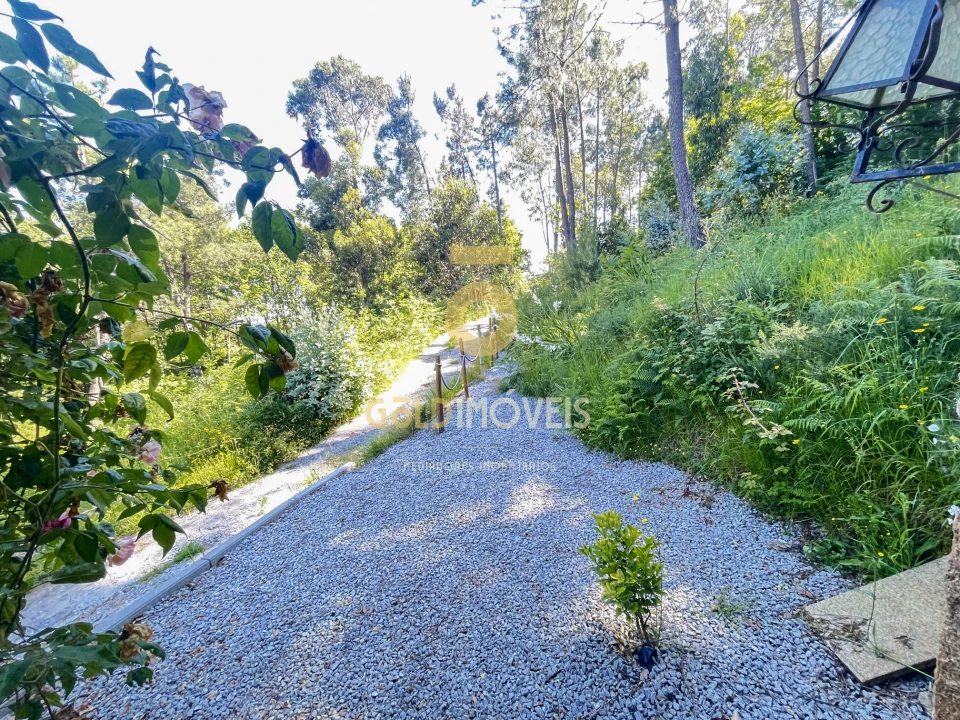 Terreno Agricola ou Rústico para Venda em Santiago de Piães Foto 31
