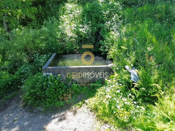 Terreno Agricola ou Rústico para Venda em Santiago de Piães Foto 22