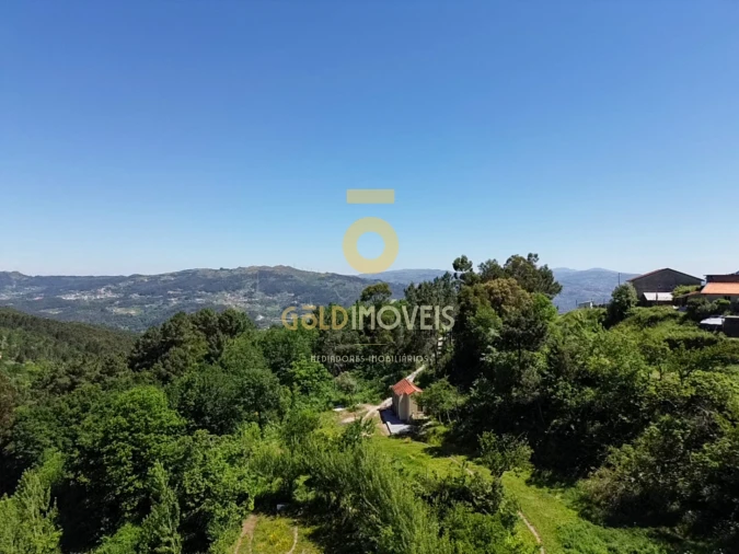 Terreno Agricola ou Rústico para Venda em Santiago de Piães Foto 29