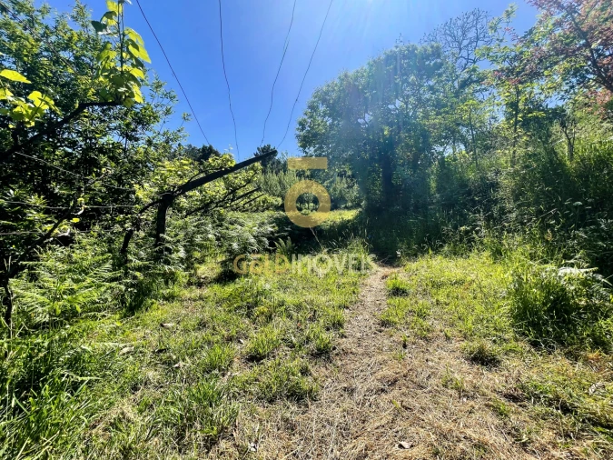 Terreno Agricola ou Rústico para Venda em Santiago de Piães Foto 26