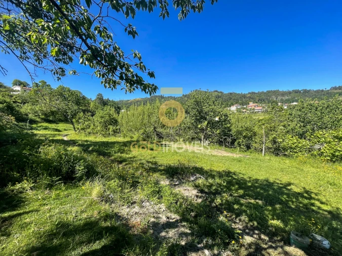 Terreno Agricola ou Rústico para Venda em Santiago de Piães Foto 25